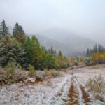 Se esperan heladas y la posible caída de nieve en algunas regiones del país este Día de Reyes